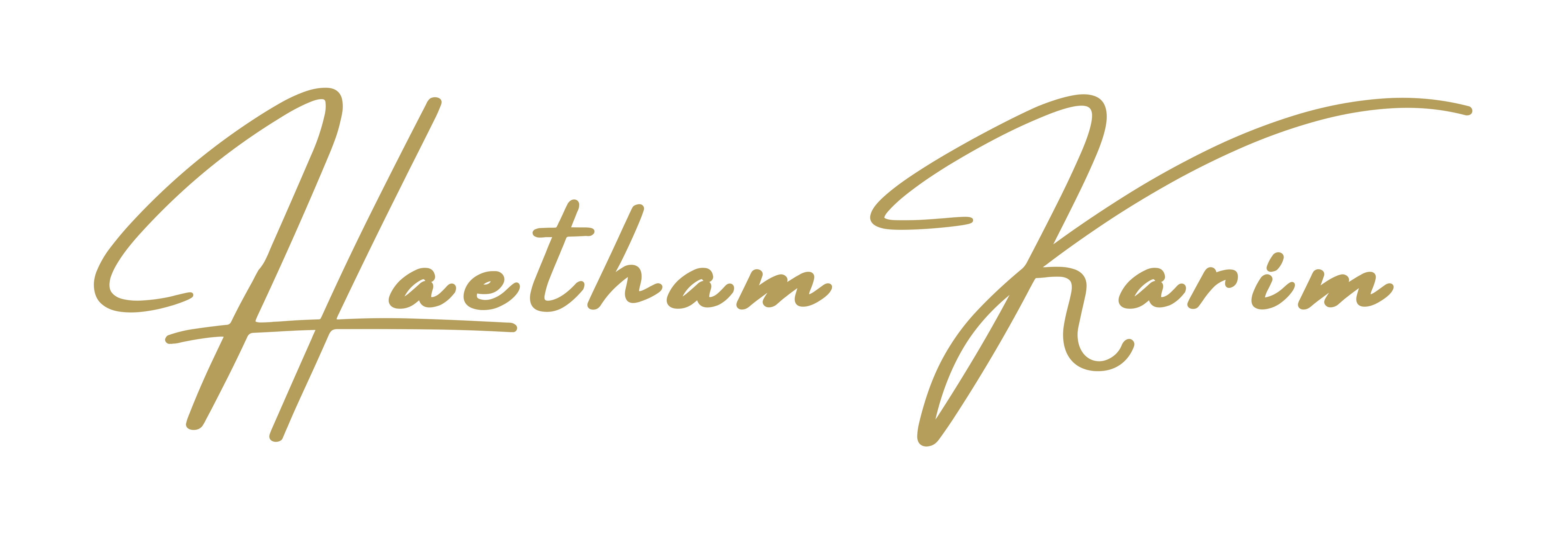 Unterschrift Haetham
